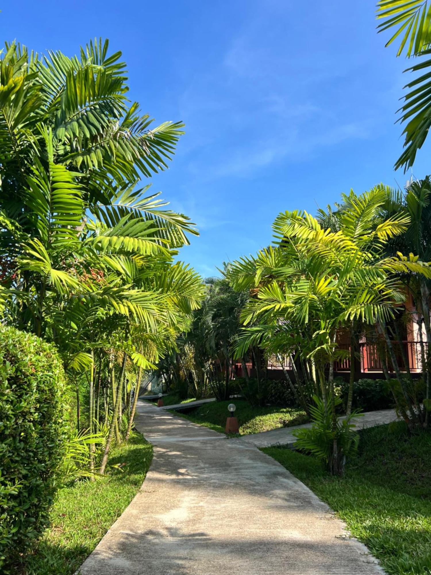 Palm Kiri Aonang Resort Ao Nang Buitenkant foto